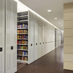 High-Density Mobile Storage System for Library Shelving