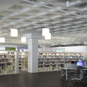 Library shelving on cantilever