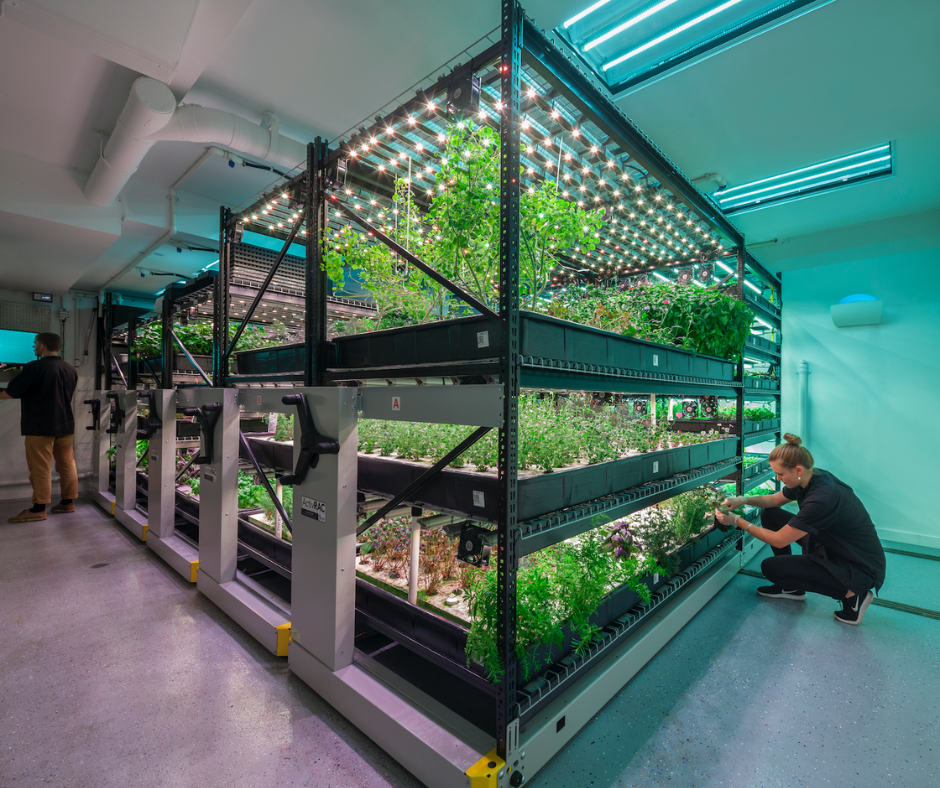 Vertical shelving and stacking systems are essential for indoor farming.