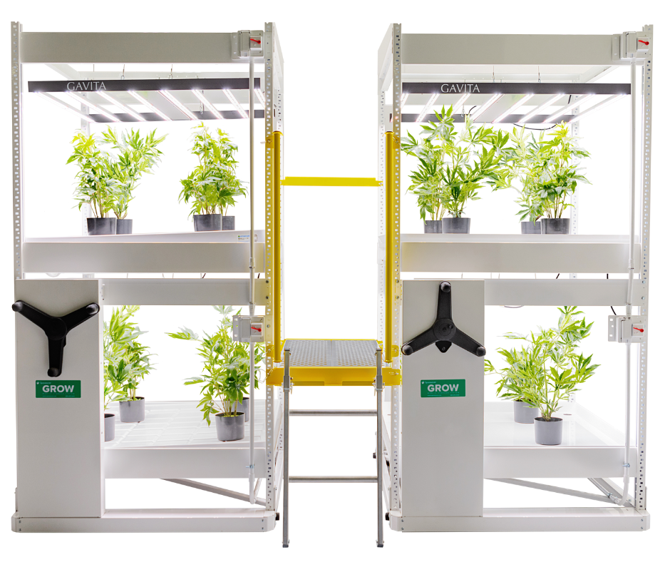 Proper ventilation helps manage humidity levels in the cannabis grow room.