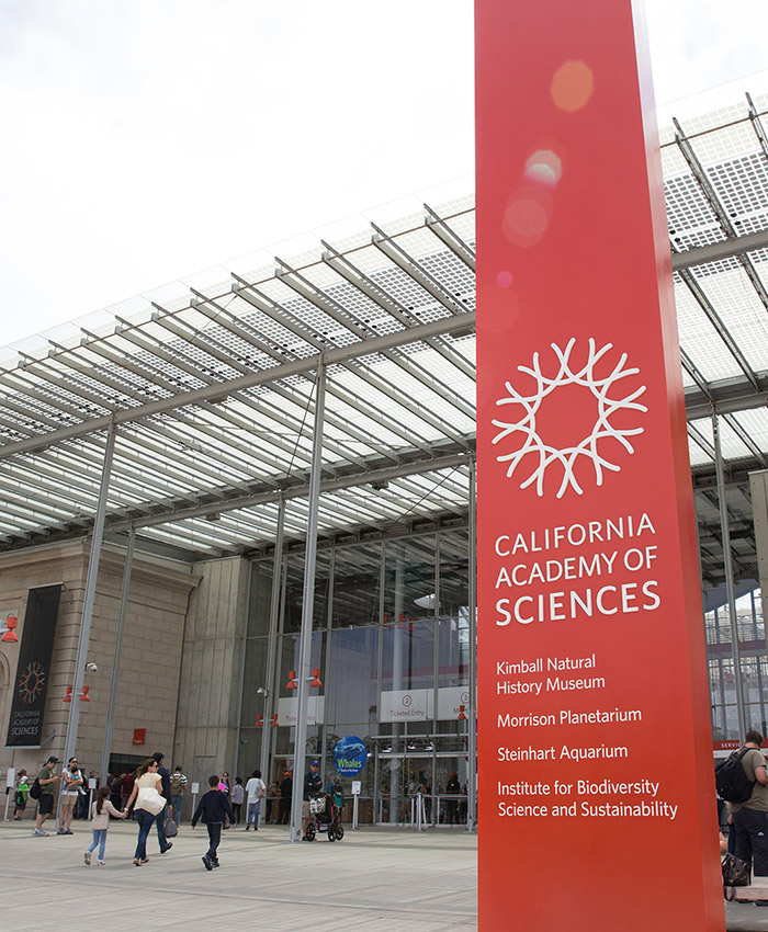 California Academy Of Sciences